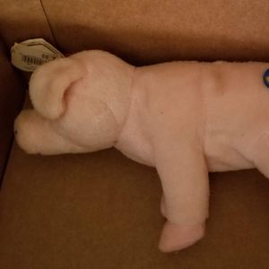 Beanie Baby - Sniffs the Pig - 3/30/2008